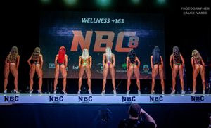 WELLNESS +163